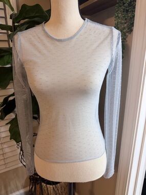 Forever 21 Pale Blue Sheer Dot Long Sleeve Top